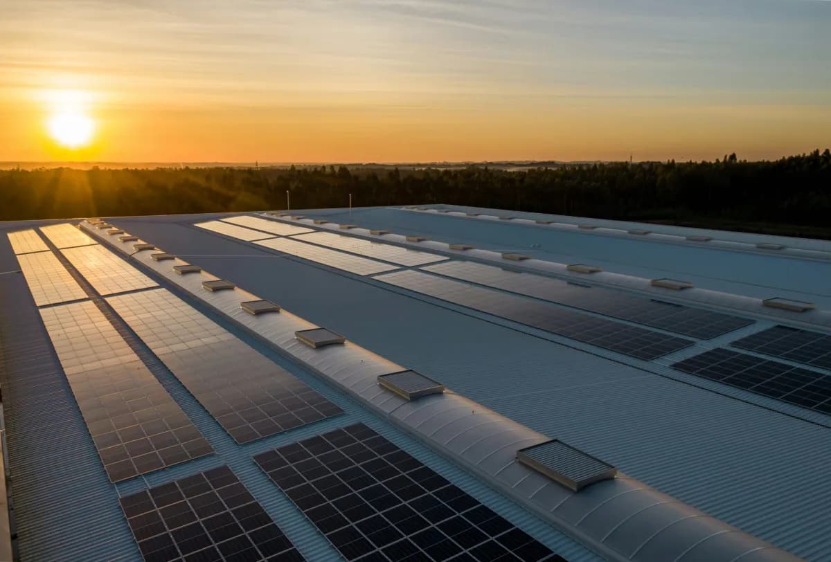 Solar panel installation showcasing Trexon Energy services